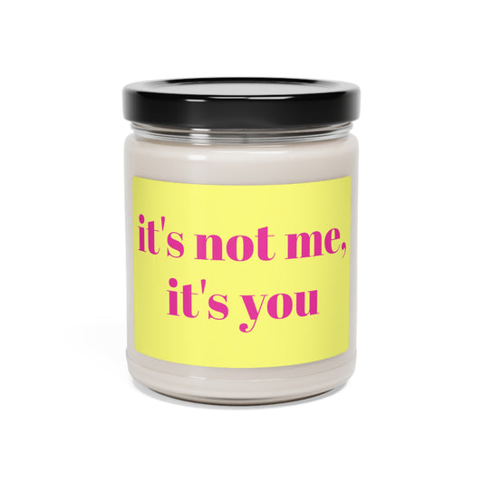 it's not me, it's you Scented Candle