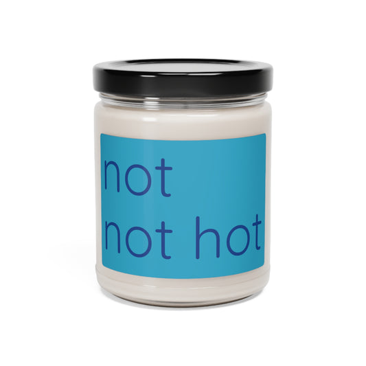 not not hot Scented Candle